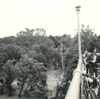 Potomac River and trees on upstream side of Chain Bridge